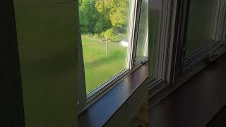 What I HATE about Triple Pane Windows [upl. by Rothwell]