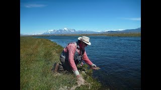 Trout fishing Paradise in Southern Patagonia [upl. by Zabrine270]