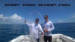 Catching Live Bait  Ocean Reef in South Florida with The Ballyhoop [upl. by Brine]