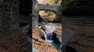 Chasing water fallsWatkins GlenParknaturehikingwatkinsglen stateparksreelsautumnshorts [upl. by Akimak403]