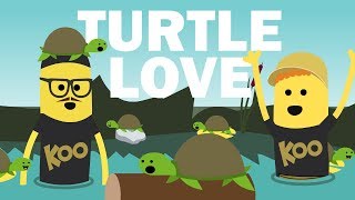 Koo Koo  Turtle Love ft Scratch Garden Music Video [upl. by Tertias305]