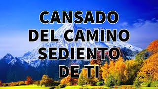 CANSADO DEL CAMINO SEDIENTO DE TI  ADORACIONES Y ALABANZAS PODEROSAS PARA ORAR  ALABANZAS 2024 [upl. by Maccarone]