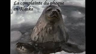 La complainte du phoque en Alaska ❦ [upl. by Gabbi]