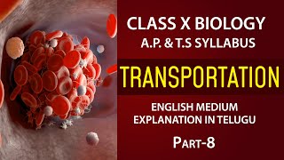 Transportation  Coagulation of blood 10th biology chapter 3 AP amp TS syllabus EM EDUSCOPE ​ [upl. by Megdal671]