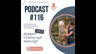 116 Koppen Teil 2 Chance auf Heilung [upl. by Nyar]