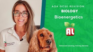 AQA GCSE Biology  Bioenergetics Revision [upl. by Cobb900]