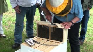 Installing Package Honey Bees the Easy Way [upl. by Nash197]