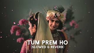 Tum Prem Ho  s l o w e d  r e v e r b   chill with wiz [upl. by Oicnecserc]