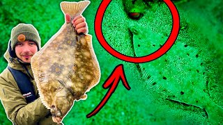 UNIQUE UNDERWATER STRIKES OF FLATFISH IN NORWAY  Team Galant [upl. by Ahsihat685]