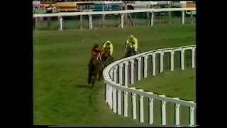 1984 Sandeman Aintree Hurdle [upl. by Mick]