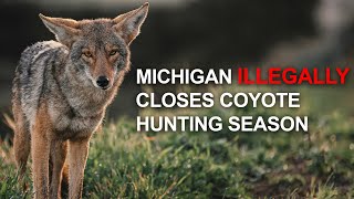 Michigan Illegally Closes Coyote Hunting Season The Fight for Conservation and Hunting Rights [upl. by Ludlow178]