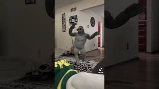 Gorilla dance funny gorilla iwasbored idk idkwhattoputhere [upl. by Adnof587]