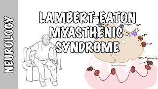 LambertEaton Myasthenic Syndrome  pathophysiology signs and symptoms and treatment [upl. by Nowaj]