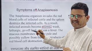 Blood protozoan l Anaplasmosis l dr Umar khan [upl. by Elrebmik]