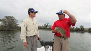 Smallmouth Bass on Top Waters [upl. by Lokim]