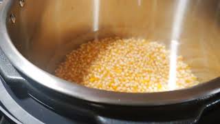 How to make Popcorn Grain Spawn Jars in an Instant Pot Max Pressure Cooker [upl. by Clarey]