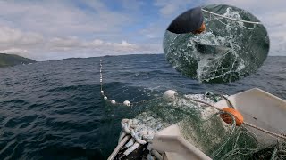 Salmon Gill Netting  Subsistence Fishing in Alaska [upl. by Apur]