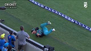 McCullum almost produces impossible catch  KFC BBL08 [upl. by Kingsley]