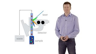 FACS  Fluorescence Activated Cell Sorting  Steffen Schmitt DKFZ [upl. by Ranice]