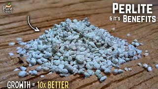 A Mastering Guide On How to Use Perlite For Plants DO amp DONTS Added [upl. by Kenyon164]