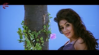 Dheere Dheere Dille Video Song  Seema Tapakai  Allari Naresh Poorna [upl. by Ilagam]