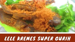 Resep dan Cara Membuat Ikan Lele Goreng Kremes Gurih Garing Enak dan Tidak Amis [upl. by Gelhar]