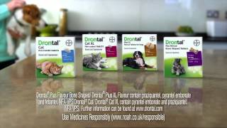 Drontal worming for puppies dogs and cats  Pharmacy4petscom [upl. by Watts]