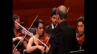 Stamitz Concerto for Viola and Orchestra 1st Movement [upl. by Ailimac]