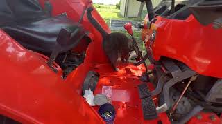 Kubota Tractor L4400  Help Loose Steering Wheel or What Wheel Changes Position For Going Straight [upl. by Asalocin860]