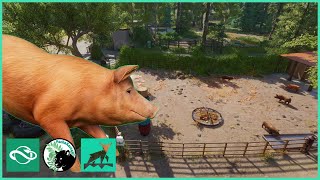 Happy as a PIG on the Raven Ranch  Raven Creek Park  Planet Zoo  52 [upl. by Yelwar]