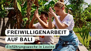 Einführungswoche in Lovina I Reise nach Bali mit wayers I Freiwilligenarbeit Bali [upl. by Bivins]