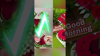 Good morning shayari shorts trending video love [upl. by Green]