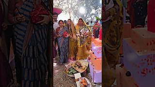 Chhath puja special Ganna Pawan Singhpawansingh chhath chhathpuja viralvideo [upl. by Ulland38]