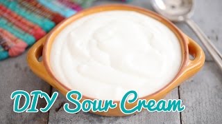 How to Make Sour Cream  Gemmas Bold Baking Basics Ep 21 [upl. by Eiclek]