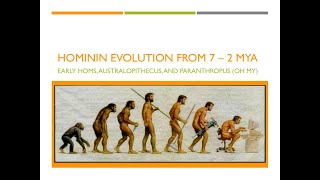 Hominin Evolution Part 1 The First 5 Million Years [upl. by Nyleahcim]