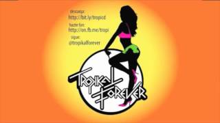 Tropikal Forever  Nadie parará el reventón Double Vision  Knockin cover [upl. by Ewart750]