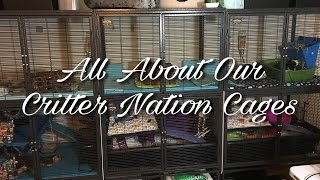 All About Our Pet Cages  Midwest Critter Nation  Vlogmas 8 [upl. by Anisamoht]