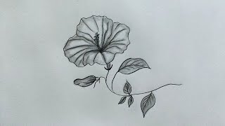 How to draw flower  Easy flower drawing tutorial for beginners step by step  Pencil drawing [upl. by Dougy]