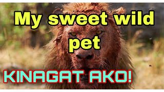 THE WILD ANIMAL  KINAGAT AKO  MakJamjom [upl. by Gustav]