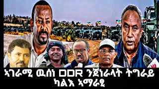 ዝርዝር ጉዳያት DDRን ንኹነታት ኣተገባብርኡን ድሕሪኡ ዝስዕቡ ጉዳያትን targetmedia tdf [upl. by Ysied779]