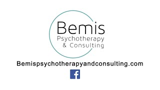 MESBA Business Profile Bemis Psychology and Consulting [upl. by Shaeffer788]