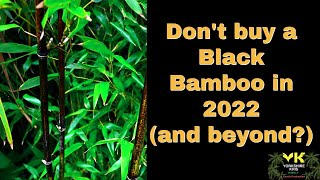 Dont buy a black bamboo in 2022 and beyond [upl. by Shirberg]