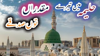 haleema main tere muqadran tu sadqe  madina naat [upl. by Anilrats]