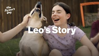 The Farmers Dog Testimonials Leo [upl. by Tobiah]