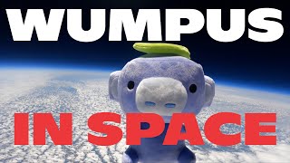 We Sent Wumpus Into Space [upl. by Felder79]