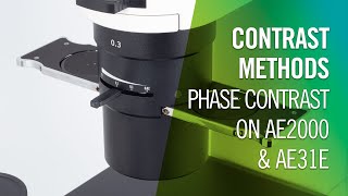 Contrast Methods  Phase Contrast on AE2000 amp AE31E  by Motic Europe [upl. by Sairahcaz]