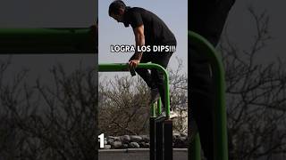 FONDOS EN PARALELAS  Apóyate con las Bandas Elásticas Calistenia amp Workout [upl. by Jahdiel]