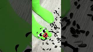 Life Doodles  The sock is gnawing on the seeds 😂 lifedoodles doodle shorts cartoon shortvideo [upl. by Eigger762]