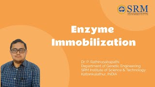 Enzyme immobilization  Enzyme Engineering  DrPRathinasabapathi  SRMGenetics [upl. by Veleda]