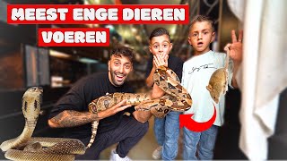 DEVRAN EN ILAY GAAN 1 DAG ALS REPTIELVERZORGER WERKEN 🐍 GEVAARLIJK  LAKAP JUNIOR [upl. by Papert374]